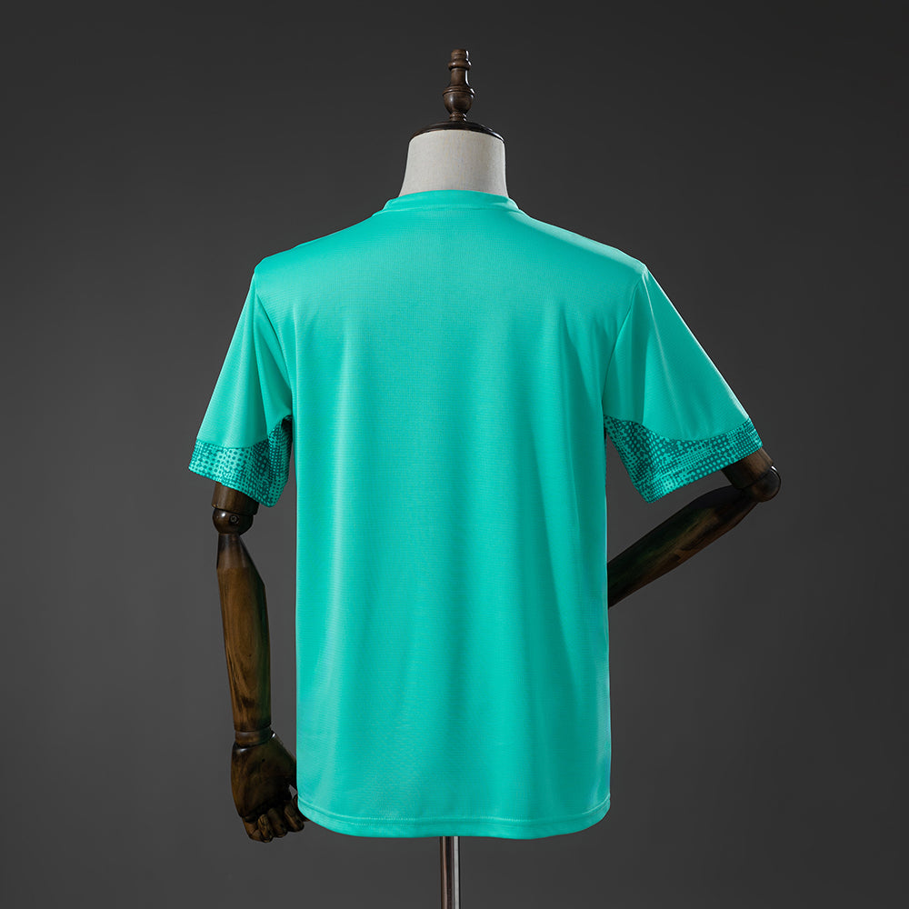 Palmeiras Fan Version - Training 26