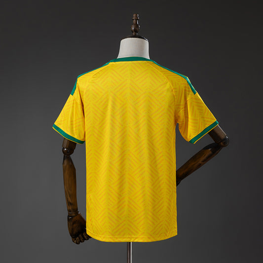 South Africa Fan Version - Home 26