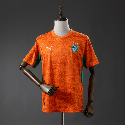Ivory Coast Fan Version - Home 26
