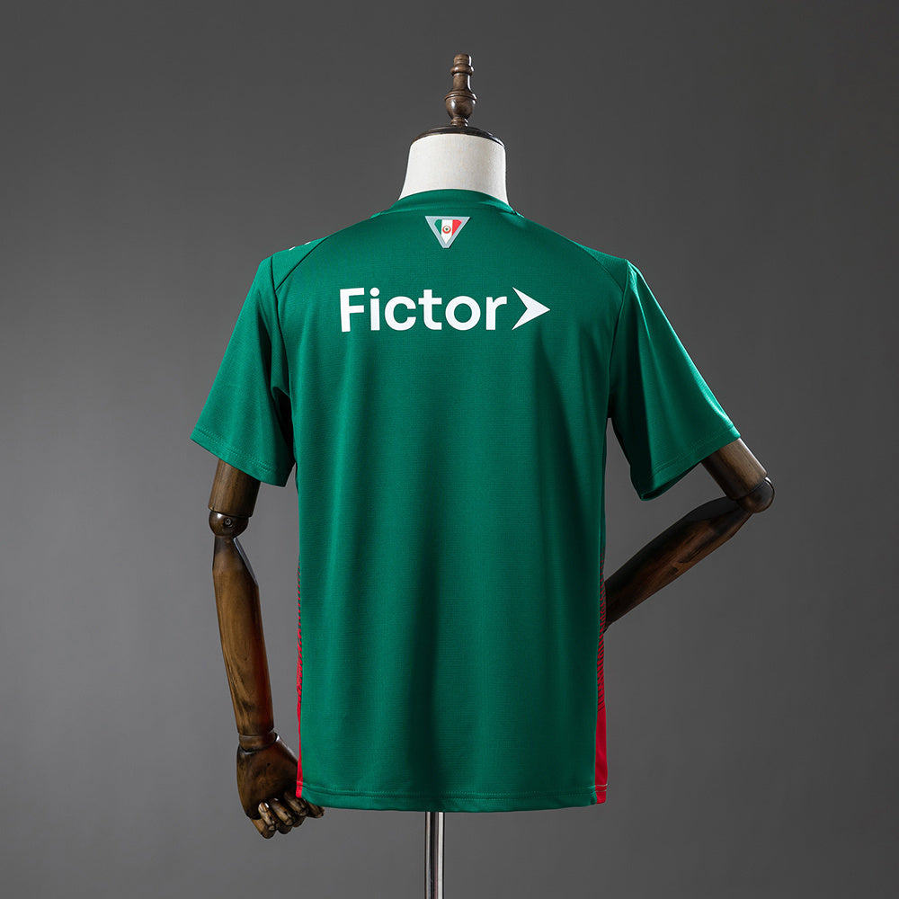 Palmeiras Fan Version - Home 26