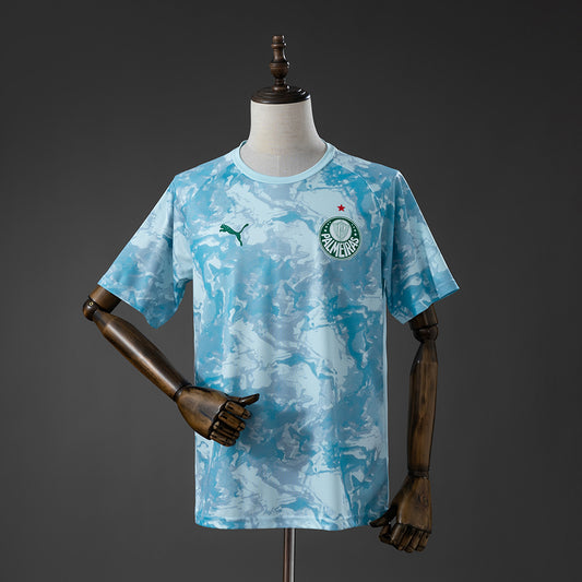 Palmeiras Fan Version - Pre match 26