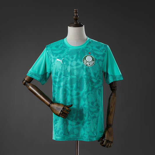 Palmeiras Fan Version - Training 26