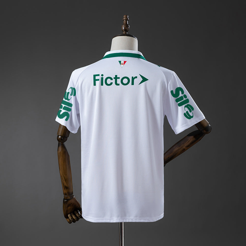 Palmeiras Fan Version - Away 26 Sponsor
