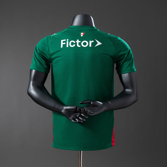 Palmeiras Player Version - Home 26