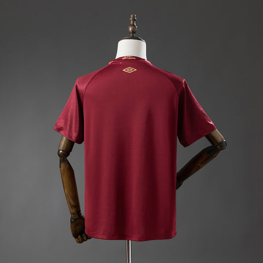 Fluminense Fan Version - Third 25/26